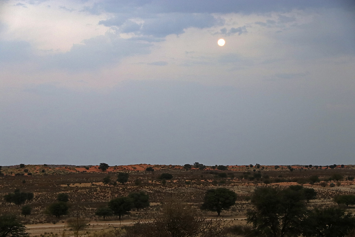 Večer in skoraj polna luna v čarobnem Kalahariju