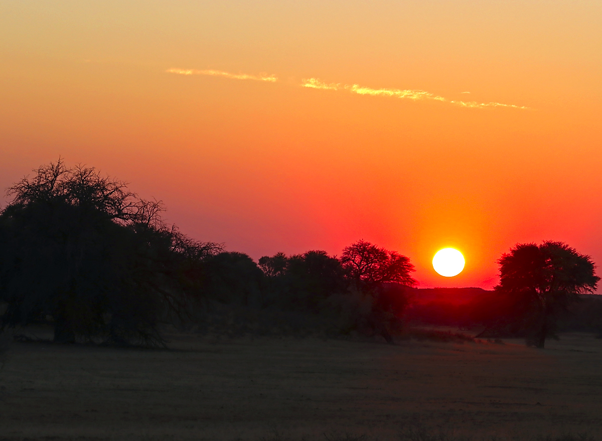 Še eno čudovito jutro v Kalahariju