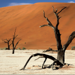 Namibija-1