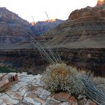 helikopter grand canyon-2